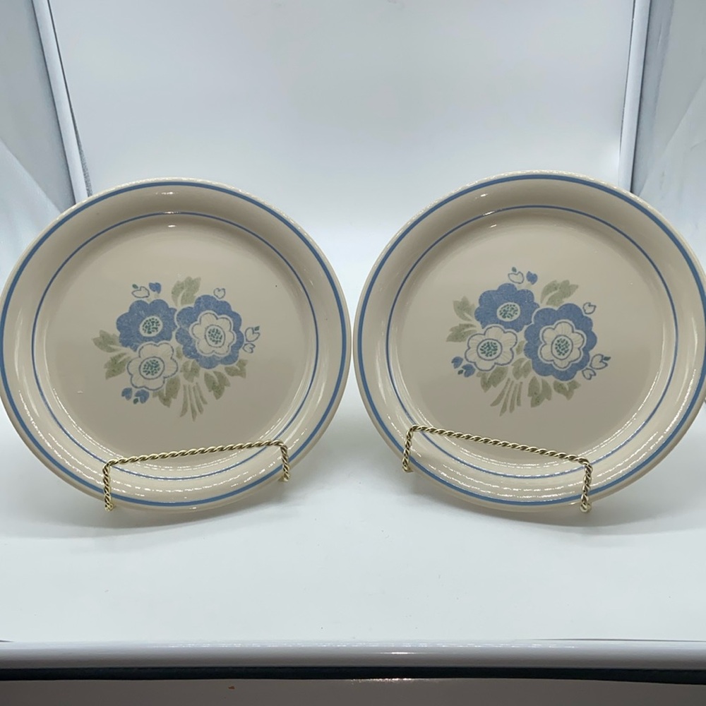 2 Vintage Corelle Belle Grove 8.5” Salad Plates